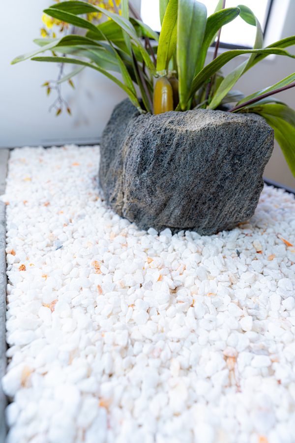 White pebbles surrounding a plant in a natural stone planter