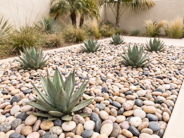 Decorative beach pebble bed planted with agaves