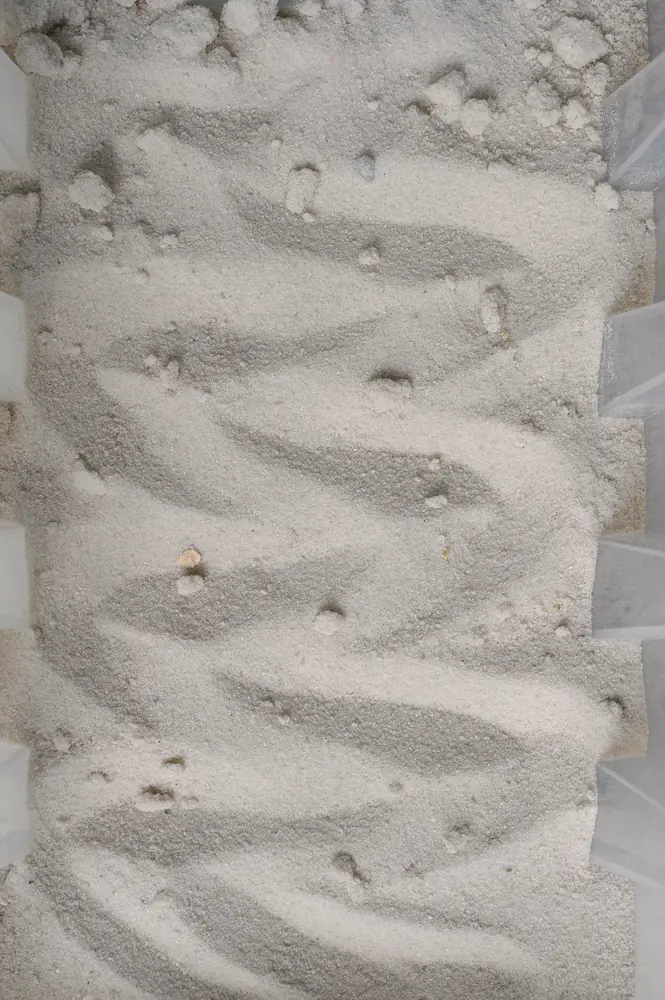 Mason Sand