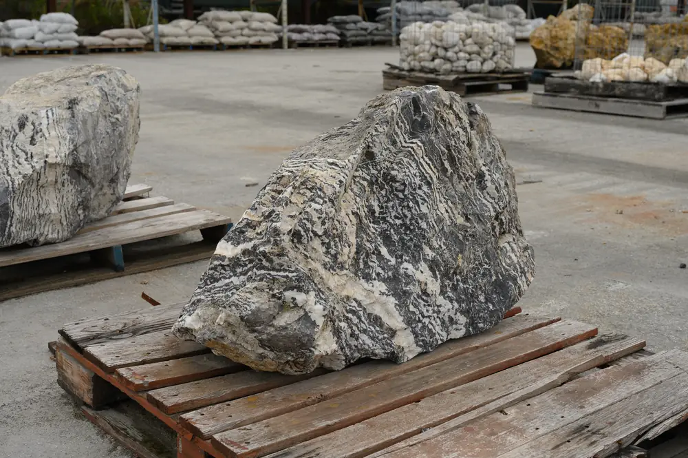 Zebra Stone